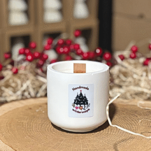 MIRISNA SVIJEĆA Winterscape